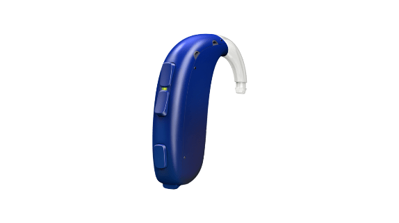 hearing aid