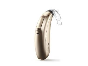 hearing aid